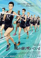  Почувствуй ветер смотреть онлайн аниме сериал 1 сезон 